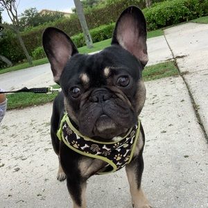 Meet your Posher, Brittany